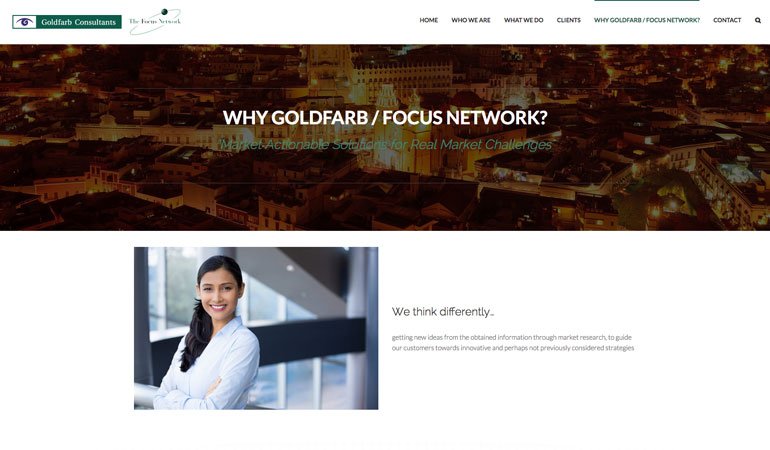 Goldfarb Proyecto Página Web D.F.